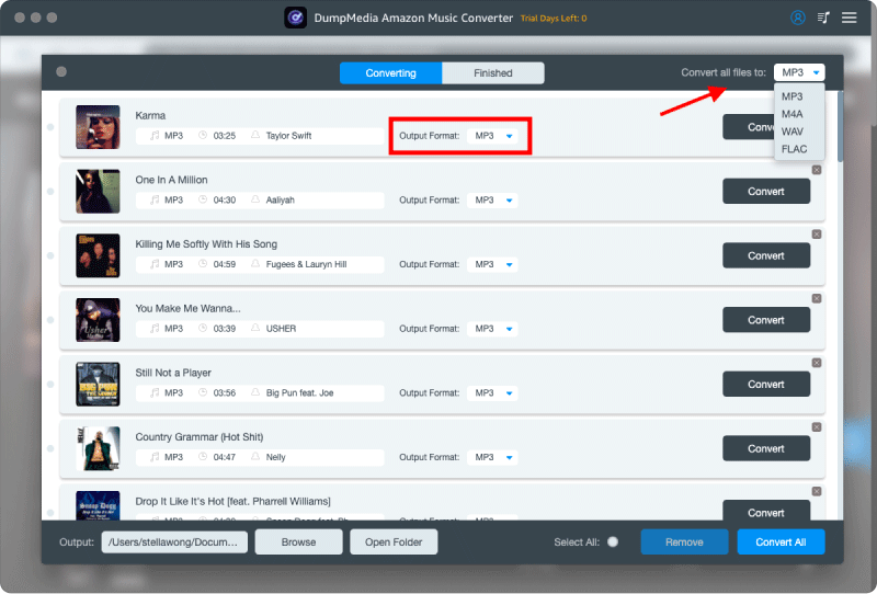 Choosing Output Format And Location on Converter