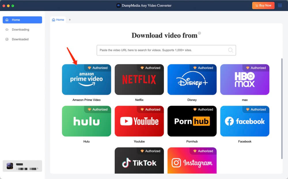 DumpMedia 亞馬遜影片下載器介面