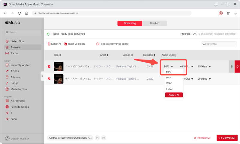 Perform Adjustments On The Settings Of The Resulting Output