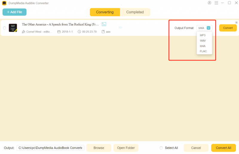 Setting Output Format of Audio Files