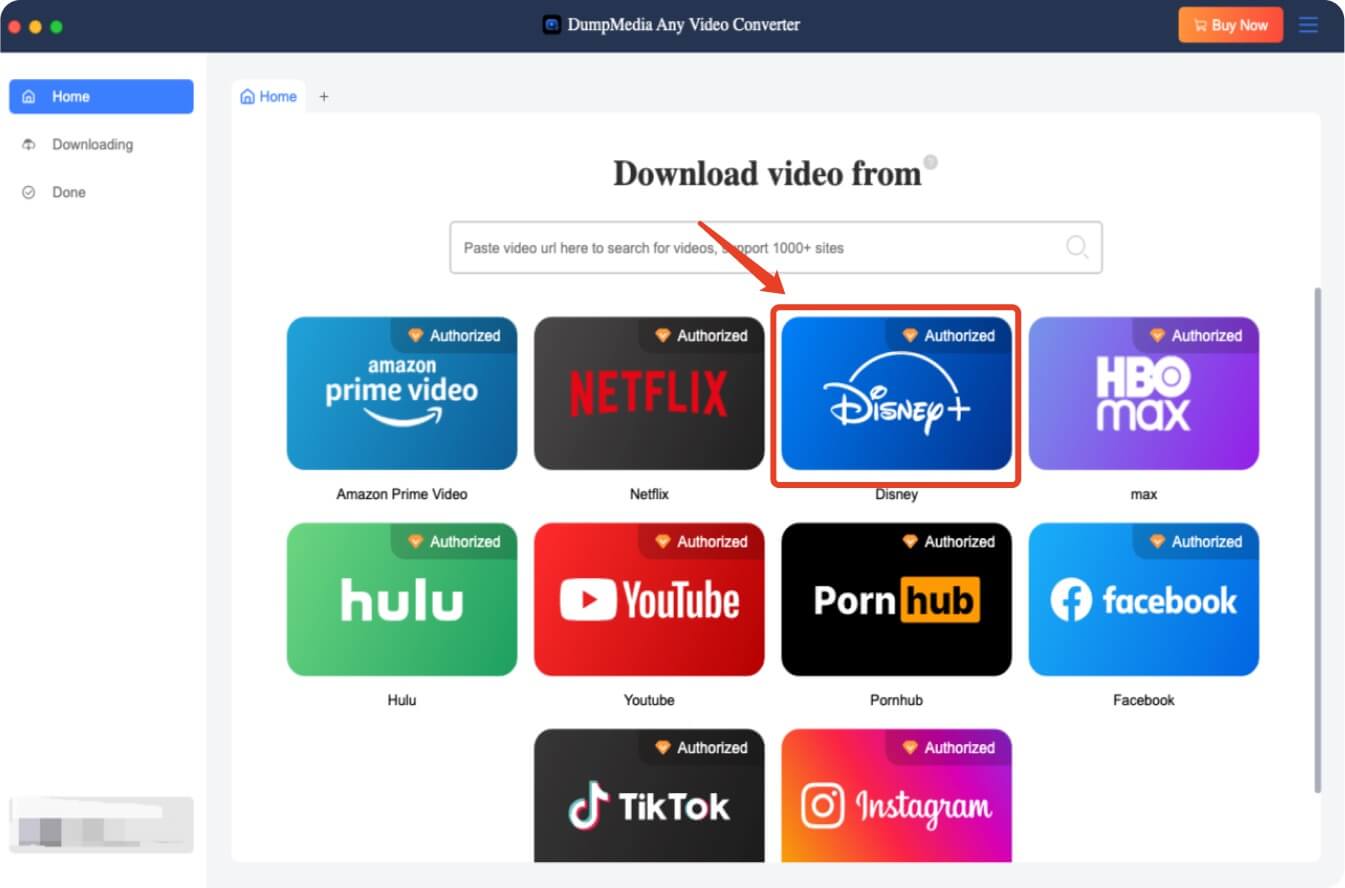 DumpMedia Disney Plus Video Converter interface