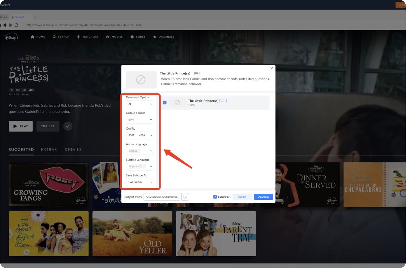 Select output format