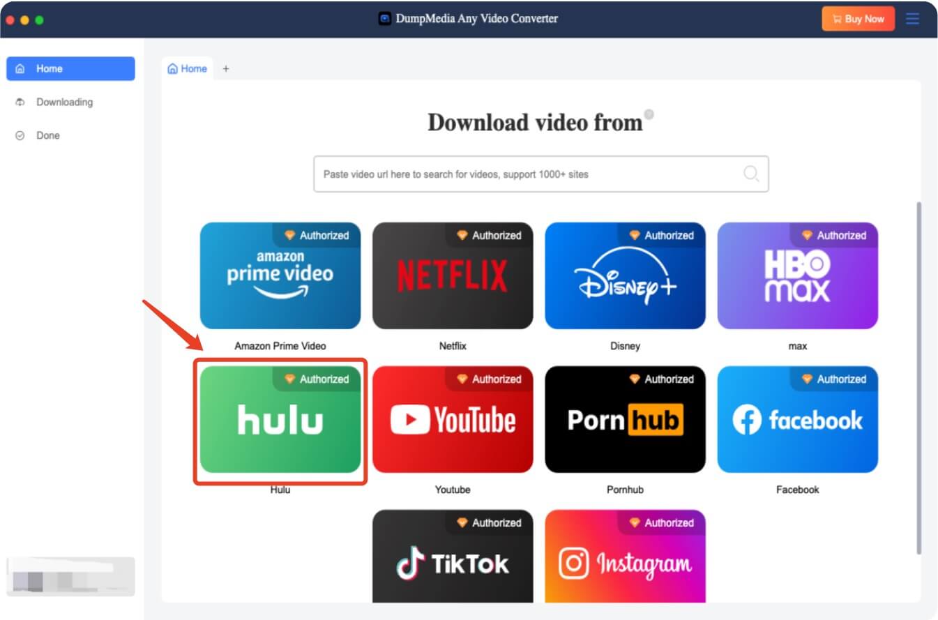 DumpMedia Hulu Video Converter Interface