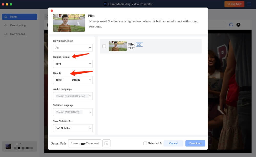 Select output format for Netflix video