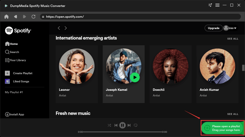 Faites glisser Spotify Musique à convertir