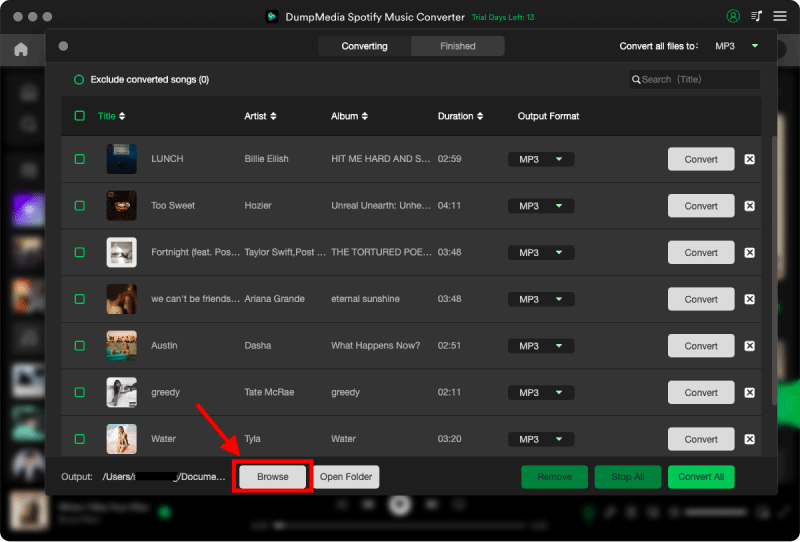 Choose Your Desired Output Format and Destination Folder for “Look What You Made Me Do” 