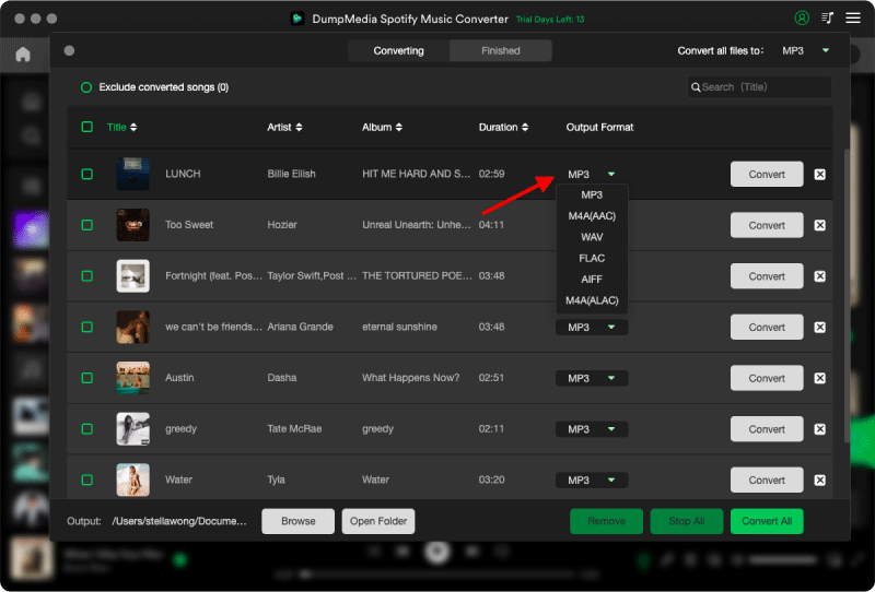 Choose Your Desired Output Format and Destination Folder