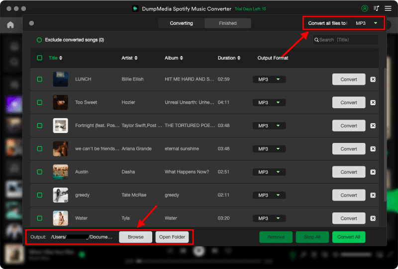 Choosing Output Format and Location on Converter