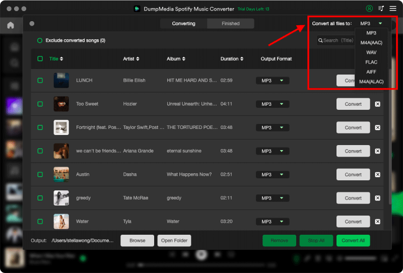 Select the Output Format