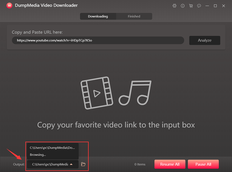 Select the Output Format of the YouTube Video