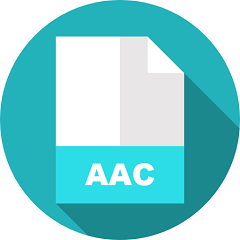 AAC 형식