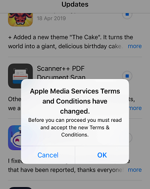 Accetta i termini e le condizioni dell'App Store