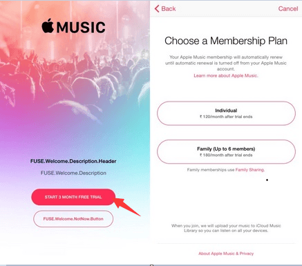 Подписка на Apple Music