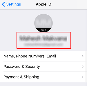 Überprüfen Sie die Apple ID