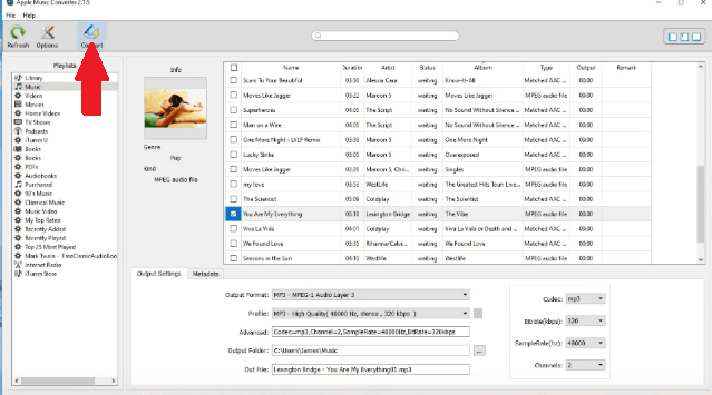 Download Songs with Convert Any Music