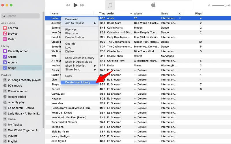 Elimina Apple Music Library