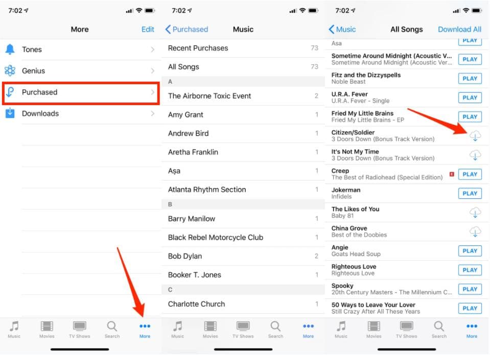 Download iPhone iTunes Purchased Songs