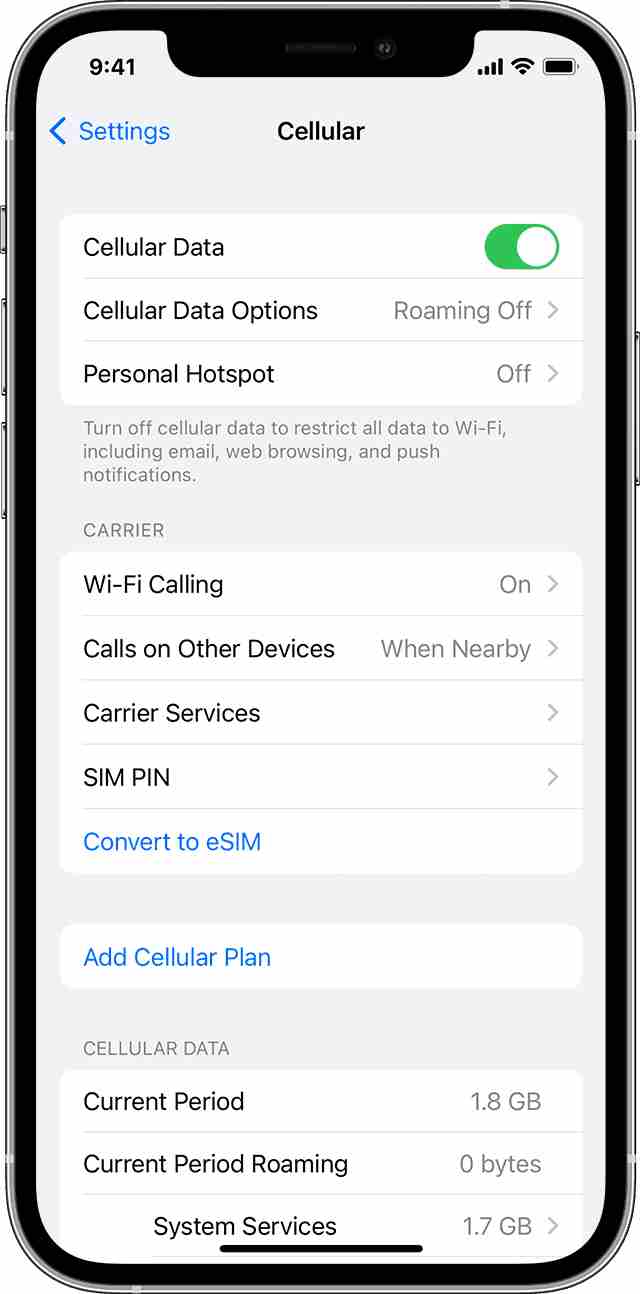iPhone Hücresel Verilerini Açma