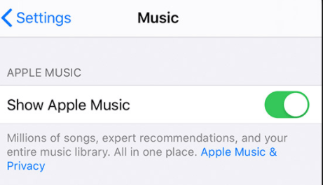 Review Toon Apple Music-optie om Apple Music-afspeellijsten op te lossen verdwenen