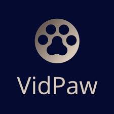 Best YouTube Music Downloader VidPaw