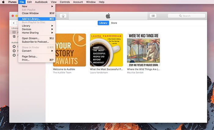 Laden Sie Audible-Bücher in iTunes auf dem Mac herunter
