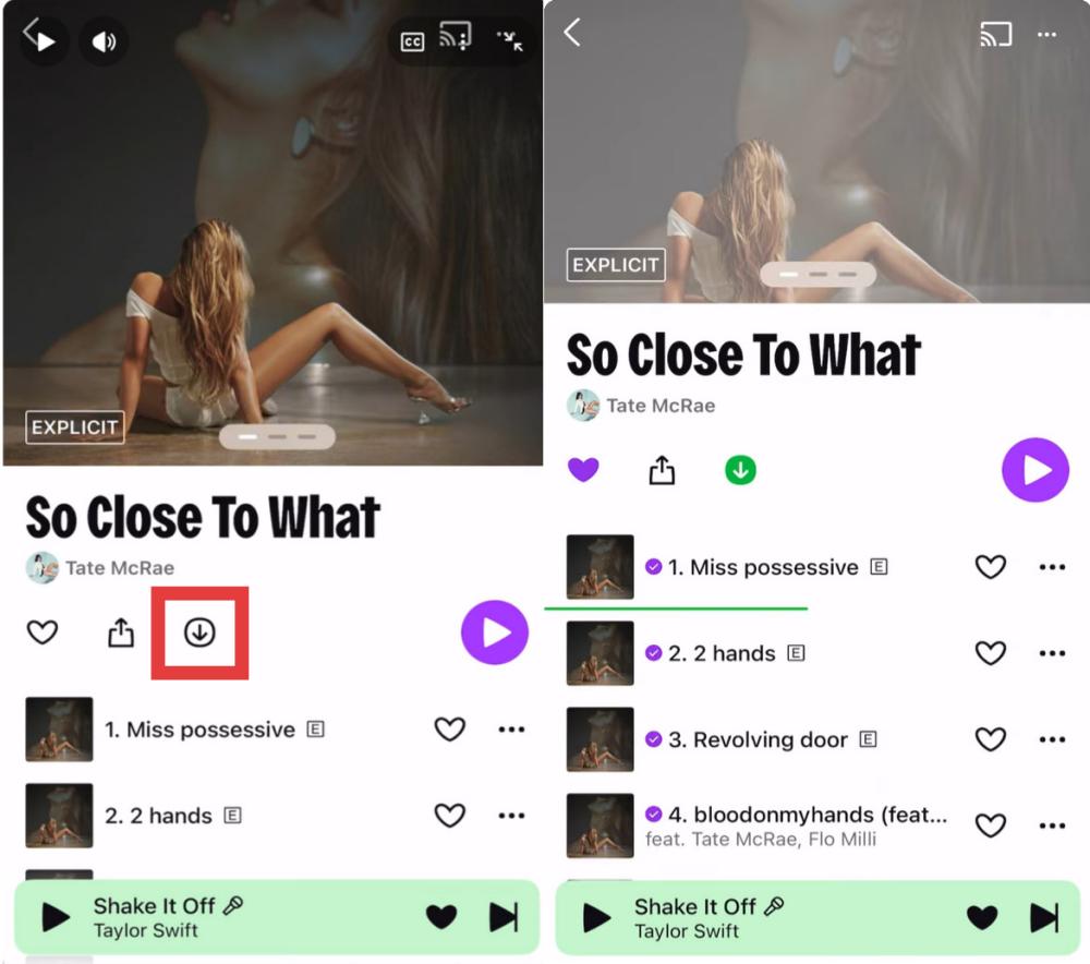 Rip Deezer Music Deezer Premium