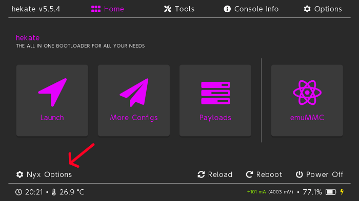 Accessing browser settings on Nintendo Switch