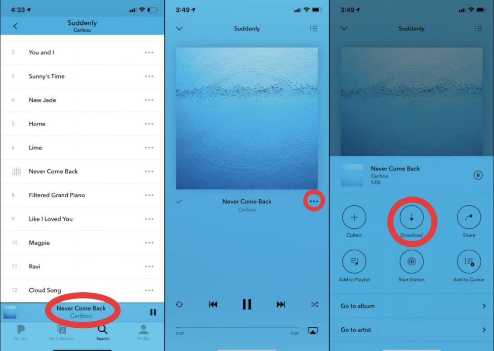 Download Music On Pandora On iPhone