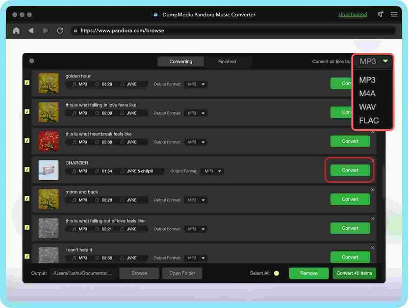 Select Pandora Music Output Format