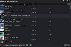 АудБесплатно Spotify Конвертер музыки
