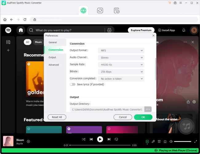 오디프리 Spotify Music Converter