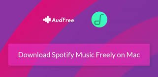 Displaying AudFree Spotify Music Converter