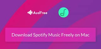 Отображение AudFree Spotify Music Converter