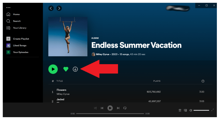 Скачать Spotify песни