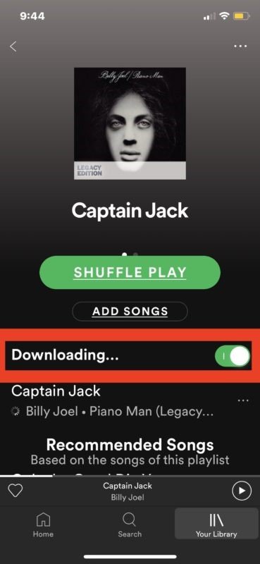Download the Playlist