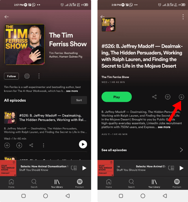 Загрузить подкасты на Spotify Мобильный телефон
