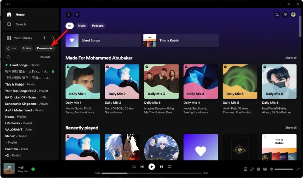 Download Spotify Songs