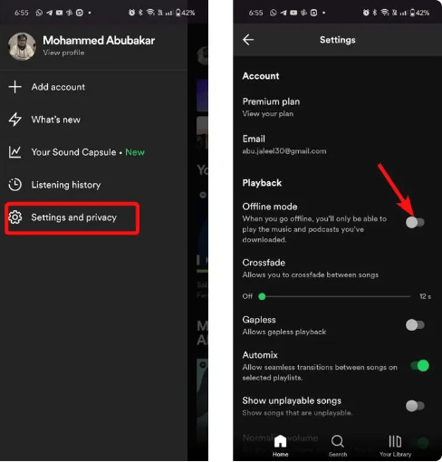 Enable Spotify Offline Mode