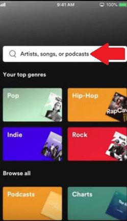 Find Podcast on Spotify