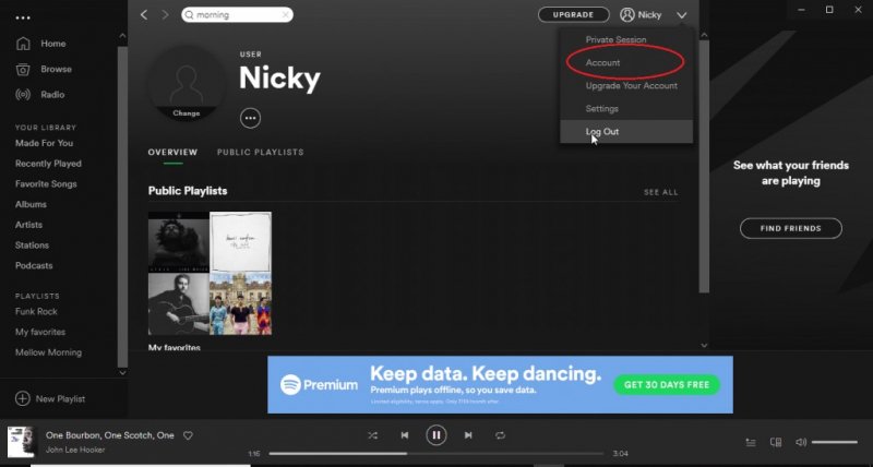 Vá para sua Spotify Página da conta