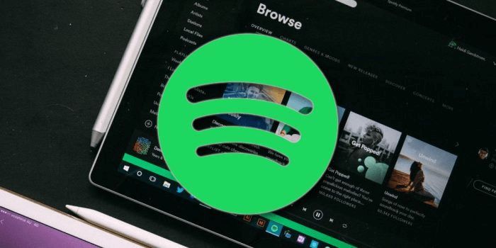 첨가 Spotify PC에서 음악을 비디오로