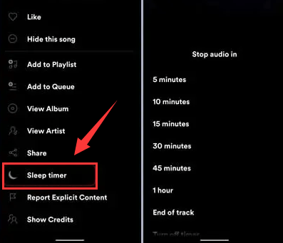 Schlaftimer einschalten Spotify auf deinem iPhone