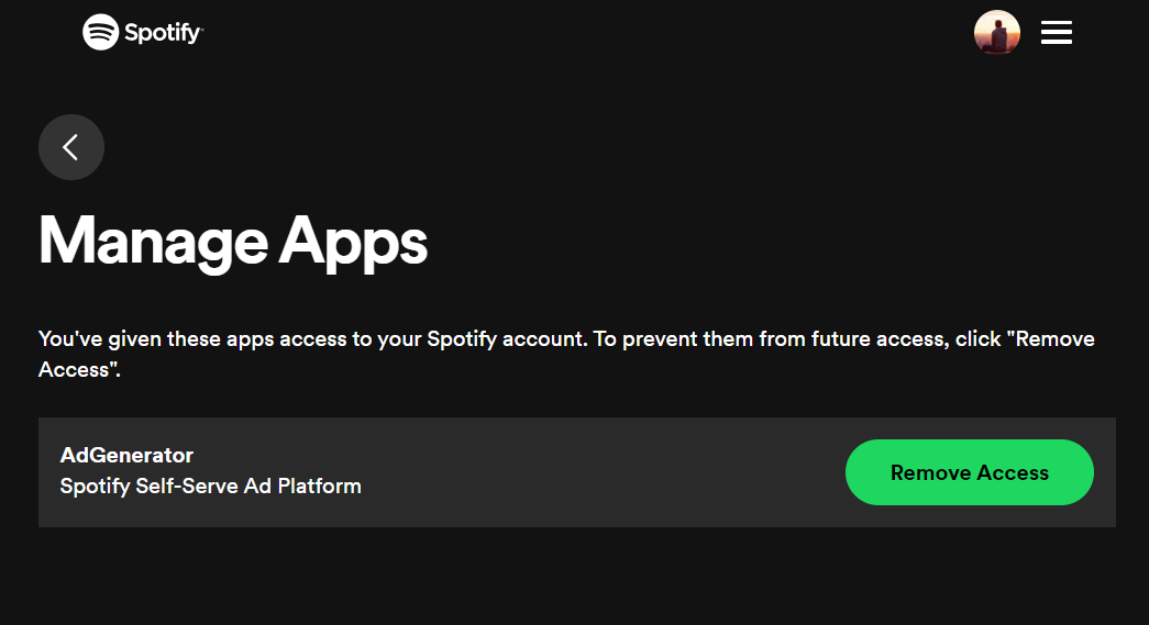 App Permissions From Spotify