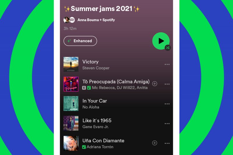 Giriş Spotify Çalma Listesini Kontrol Etmek İçin