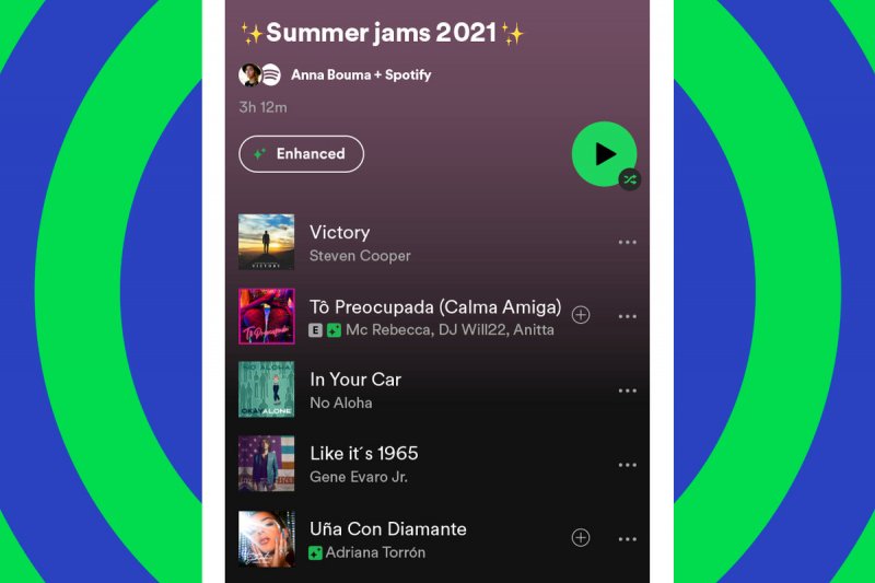 Se connecter Spotify pour vérifier la liste de lecture