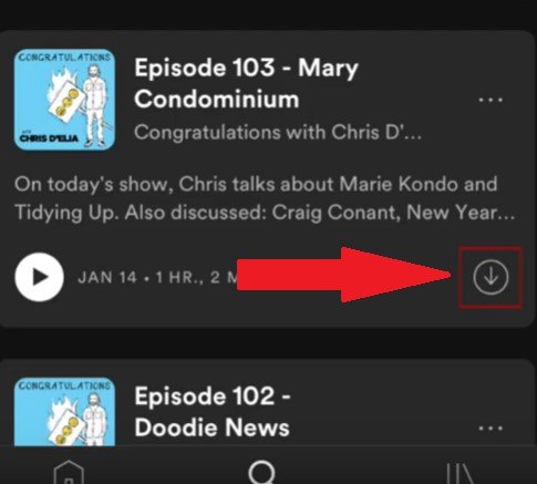 Tap on the Download Icon