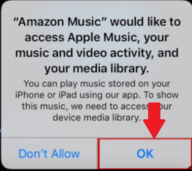 デバイスのミュージックライブラリへのアクセスを許可する