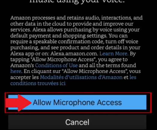 Permita que la aplicación acceda al micrófono de su dispositivo