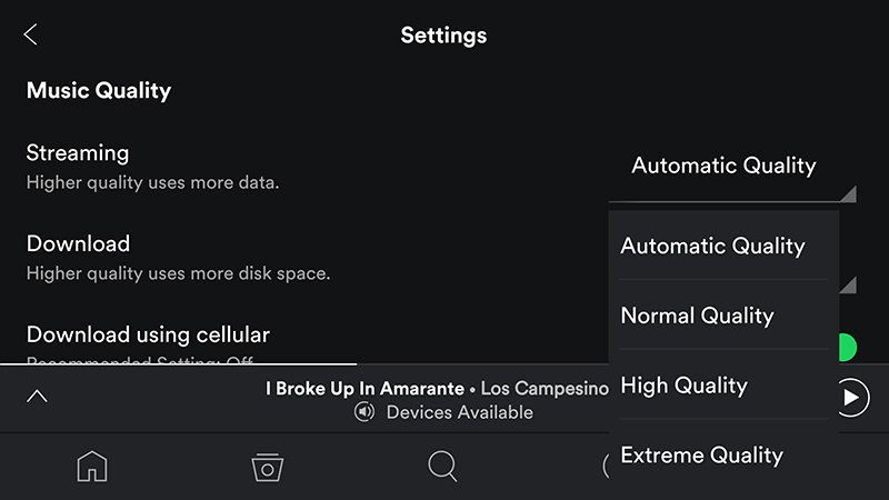 Cambiare il tuo Spotify Abbonamento di livello