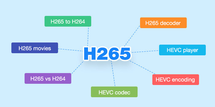 Feature H265